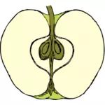 صورة متجهة من قطع التفاح في النصف