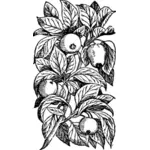 Las manzanas en una rama del vector illustration