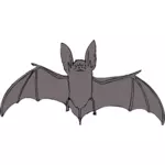 الخفافيش مع أجنحة مفتوحة رسم المتجه