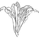 V-shaped blossom flower vector illustration