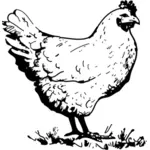 Chicken schwarz-weiß Vektor
