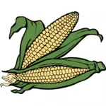 Deux épis de maïs vector illustration
