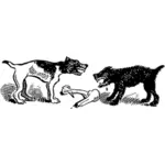 Dogs fight over bone vector illustration