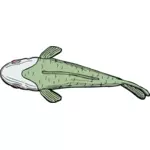Ugly fish top view vector illustration