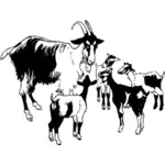 Vektorový obrázek koz a kůzlat