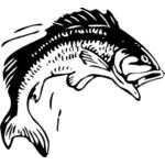 Sărituri peşte vector imagine