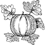 Melon vector drawing