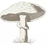 Vektor-Bild eines Pilzes