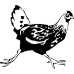Vector graphics of running chicken
