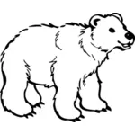 若いクマ ベクトル画像