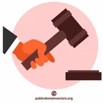 Judge holds a gavel