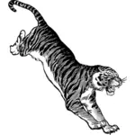 Jumping angry tiger vector drawing
