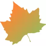 Plane tree autumn leaf vector clip art