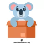 Koala in una scatola