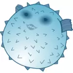 Blowfish vector image