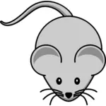 Vector drawing of cartoon mouse with long mustache