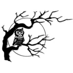 Owl on tree vector drawing