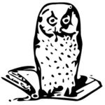 Owl on book vector image
