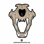 Lion jaw skull
