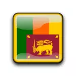 Sri Lanka flag vector