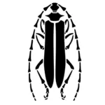 Escarabajo del fonolocalizador de bocinas grandes