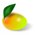 Mango vrucht