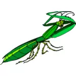 Groene praying mantis