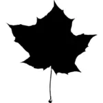 Silhouette vector drawing of maple leaf