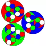 矢量图像的红色、 绿色和蓝色的圆圈，圈内