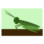 Comic grasshopper