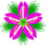 Indický Lotus vektorové ilustrace