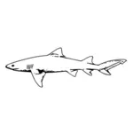 Lamaie rechin Contur vectorial