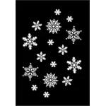 Vector de la imagen de los copos de nieve blancas sobre fondo negro