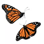 Vector clip art of black and orange butterflies