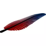 Vector illustration of tilted red and blue feather