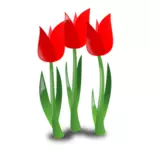 Trzy tulipany