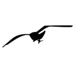Vector silhouette graphics of a flying gull.