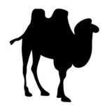 Camel contour vector clip art