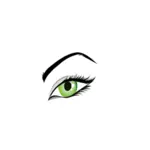 矢量图像的女士绿色眼睛，眉毛