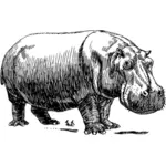 Hipopotam wektor clipart