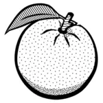 Tegning av en appelsin