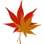 Japanese leaves