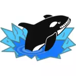 Vector image of big orca smiling sadistically