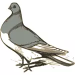 Vector clip art of grey pigeon illustration