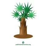 Palm tree plant