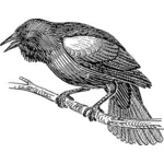 Vektor Klipart blackbird na větev stromu