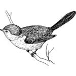 Hummingbird grafis hitam dan putih