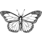 Dibujo de mariposa