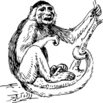 Manta cu glugă maimuţă