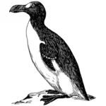 Graphisme du Grand pingouin